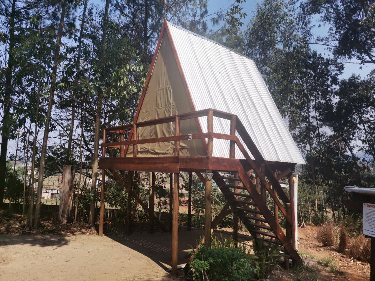 Luxury tent Island Graskop